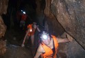 PHONG NHA CAVE AND DARK CAVE TOUR 1 DAY