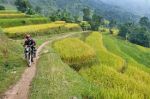SAPA MOTORBIKE TOUR 1 DAY