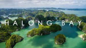 Halong Bay Cruises