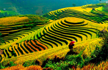 SAPA BY BUS 2 DAYS - 2 NIGHTS(1 NIGHT ON BUS, 1 NIGHT IN HOTEL) 