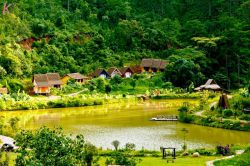 Day tour - Da Lat city tour 1 day