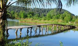 Dalat, Lak lake, Nha Trang – 3 days