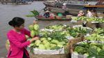 Mekong delta tour – 1 day
