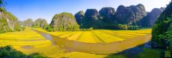 Ninh Binh tour - Hoa Lu Tam Coc 1 day